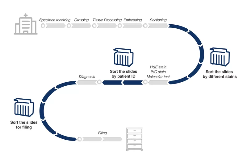 Application of POSTMAN 1280 Automated Slide Drying and Sorting Machine